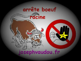 arrête boeuf racine